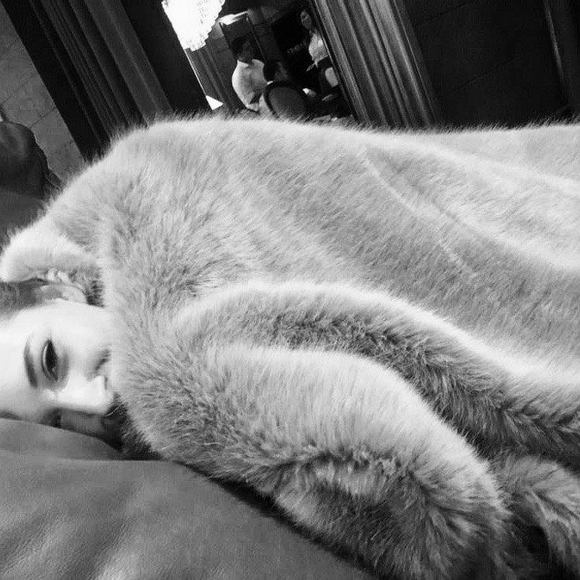 Meet your Posher, Alison - Picture 1 of 1